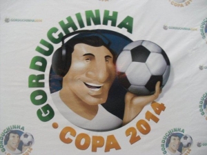 184482_gorduchinha05.jpg